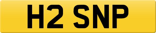 H2SNP